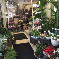Mayflower