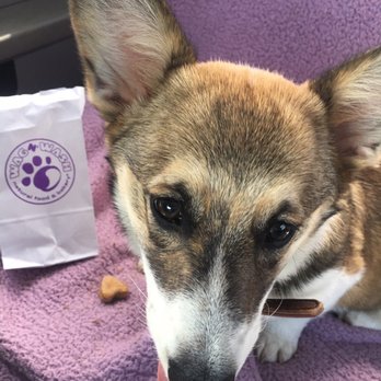 Wag N' Wash Natural Pet Food & Grooming - This is a great place to stop Great facilities, Great Staff, very knowledgeable & friendly! - Pet Groomers Near Me - Eagan, Minnesota