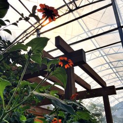 Butterfly Garden