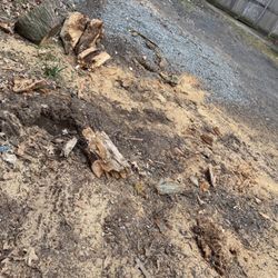 Jersey Tree Care - MESS THEY LEFT BEHIND TOOK NUMEROUS CALLS FOR CLEANUP
