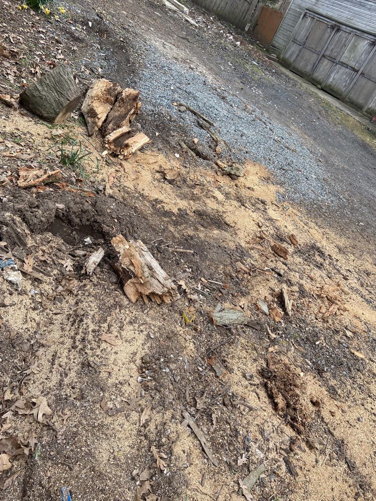 Jersey Tree Care - tree service in Ridgewood, NJ