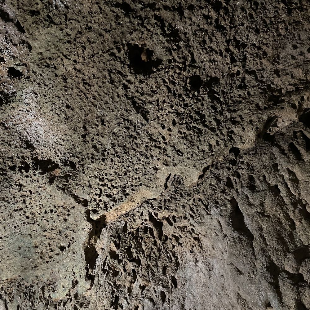 Cascade Caverns - Bat named Bruce - Tours Near Me - Boerne, Texas Cascade Caverns - Bat named Bruce - Tours Near Me - Boerne, Texas
