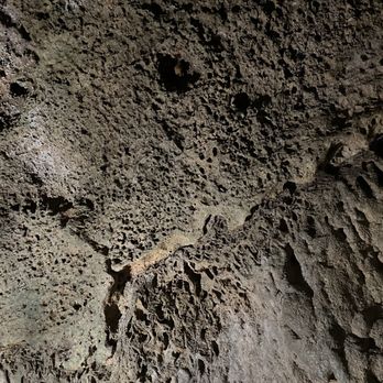 Cascade Caverns - Bat named Bruce - Tours Near Me - Boerne, Texas