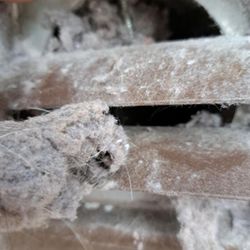 Lint Sweepers - Fire Safety Starts with You! 
Chimney sweep isn't the only annual service your home needs for fire prevention. Schedule your Dryer Vent