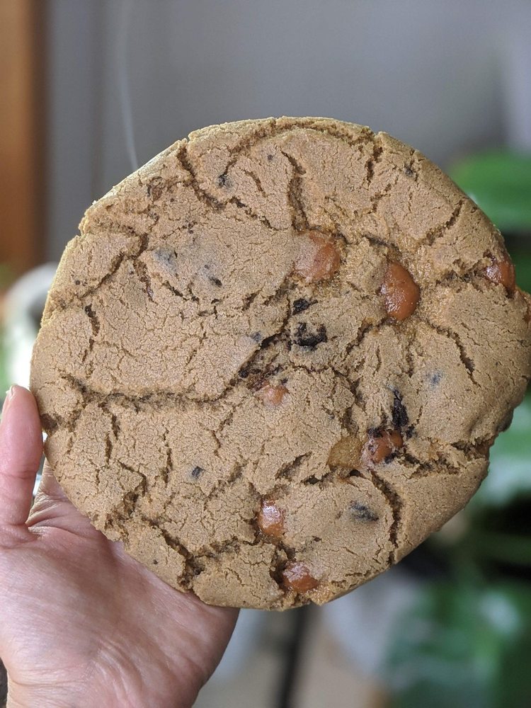 TREX COOKIE KITCHEN 35 Photos & 18 Reviews Bakeries 525 Diffley