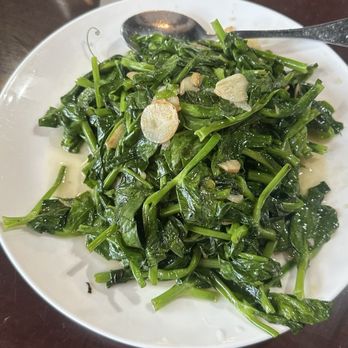 GuangDong Taste - Snow Peas Tips - Cantonese Near Me - Virginia Beach, Virginia GuangDong Taste - Snow Peas Tips - Cantonese Near Me - Virginia Beach, Virginia