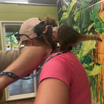 Branson's Promised Land Zoo - Zoos Near Me - Branson, Missouri Branson's Promised Land Zoo - Zoos Near Me - Branson, Missouri