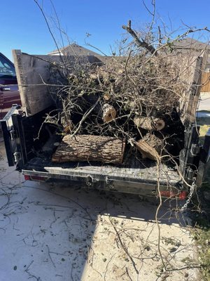 Debris removal - We just had a recent ice storm so if you have debris that needs to be removed call TODAY!
