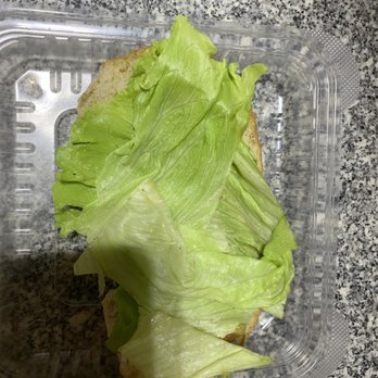 Pollo Regio - Pretty lettuce - Mexican Near Me - Dallas, Texas Pollo Regio - Pretty lettuce - Mexican Near Me - Dallas, Texas