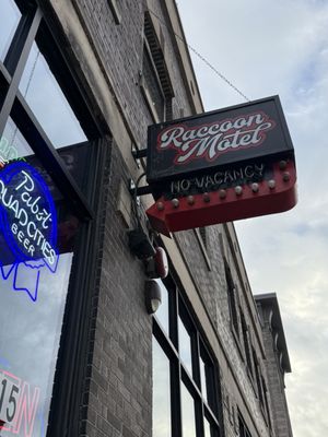 Raccoon Motel by null