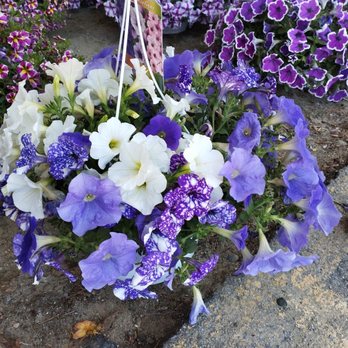 The Flower Spot - Florists Near Me - East Taunton, Massachusetts The Flower Spot - Florists Near Me - East Taunton, Massachusetts