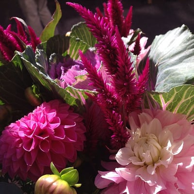 Magnolia Farmers Market by null