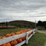 Photo of Stribling Orchard