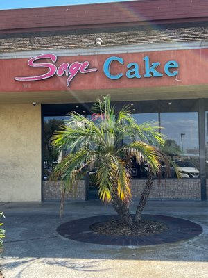 Sage French Cake & Coffee by null