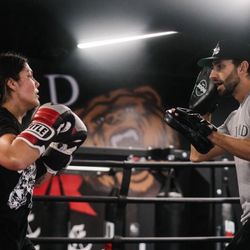 BTBoxing and Personal Training