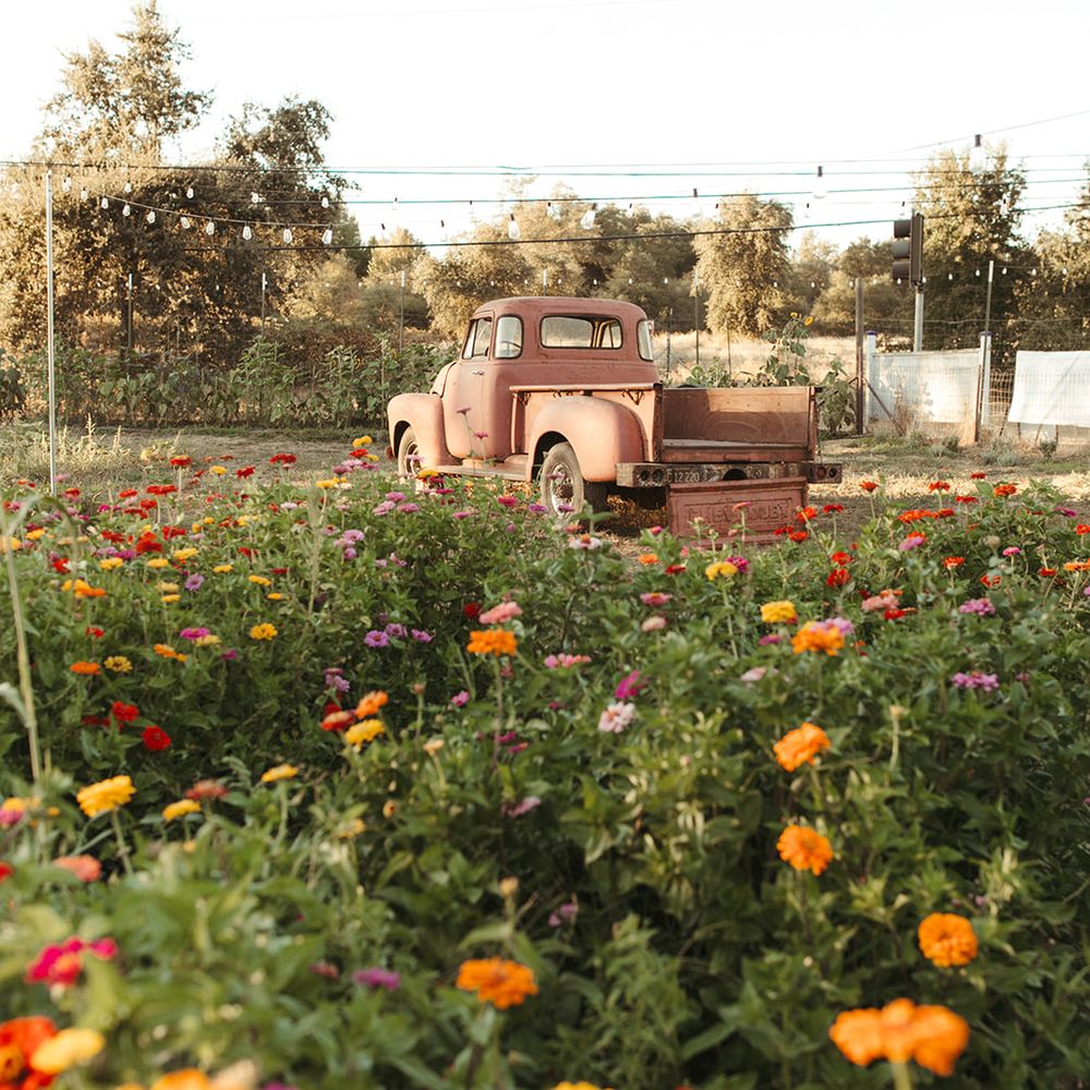 Florence Ellsworth, image size:1000x1000