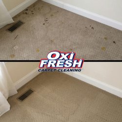 Oxi Fresh Carpet Cleaning