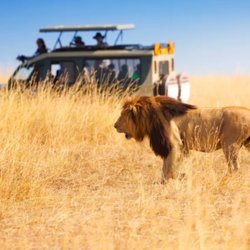 Activentures Africa Safaris