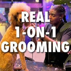 Collar & Comb - Real 1-on-1 grooming at Collar & Comb in West Hollywood