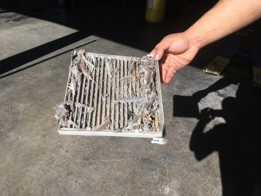 Car Air Filter Replacement - Replacing a car's air filter, or filters, involves locating the air filter housing, removing the old filter, and inserting a new one, which is a straightforward maintenance task that can save money and improve engine performance and fuel economy.