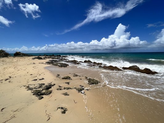 El Gallito ( Gringo Beach ) by null