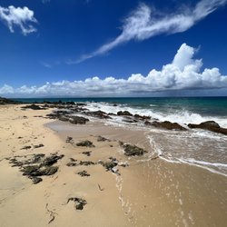 El Gallito Beach - El Galito beach (Gringo beach)