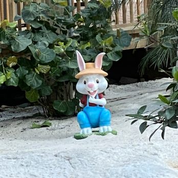 MOOR - Easter bunnies are hidden around the resort. - Seafood Near Me - Kissimmee, Florida MOOR - Easter bunnies are hidden around the resort. - Seafood Near Me - Kissimmee, Florida