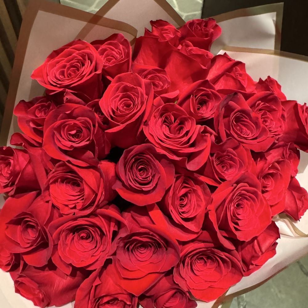 conjunto realista de flores rosas rojas con diferentes colores y formas  aisladas 17373162 PNG, image size:1000x1000