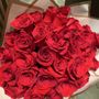 Photo of Doral Blooms