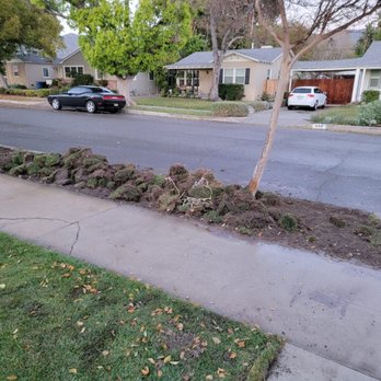 Precise Junk Removal - Before Angel's cleanup - Junk Removal & Hauling Near Me