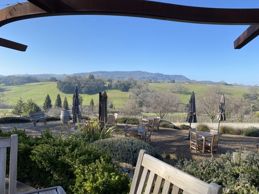 Denner Vineyards by null