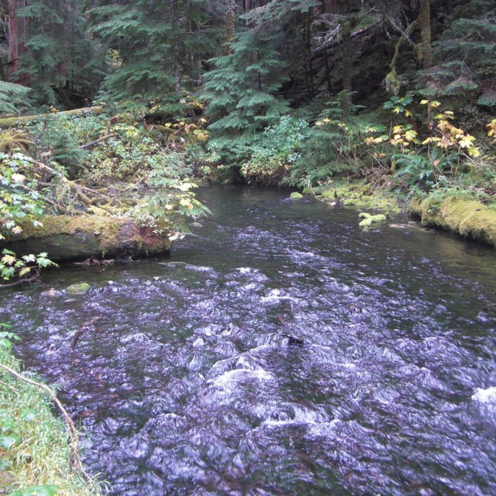 Bull Run Watershed - Source of Bull Run River - Landmarks & Historical Buildings Near Me - Rhododendron, Oregon Bull Run Watershed - Source of Bull Run River - Landmarks & Historical Buildings Near Me - Rhododendron, Oregon