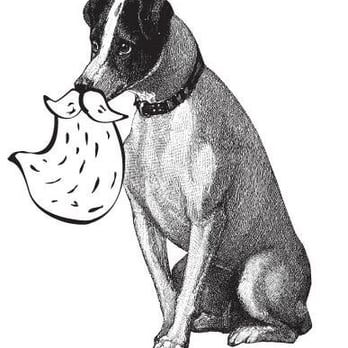 A Bearded Guy Dog Walking - A Bearded Guy Dog Walking logo - Dog Walkers Near Me A Bearded Guy Dog Walking - A Bearded Guy Dog Walking logo - Dog Walkers Near Me