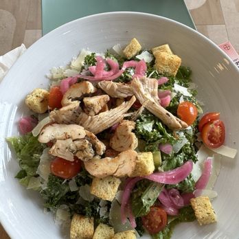 Ancora Cafe + Bakery - Chicken salad huge portion ate for two meals - Coffee & Tea Near Me - Monona, Wisconsin