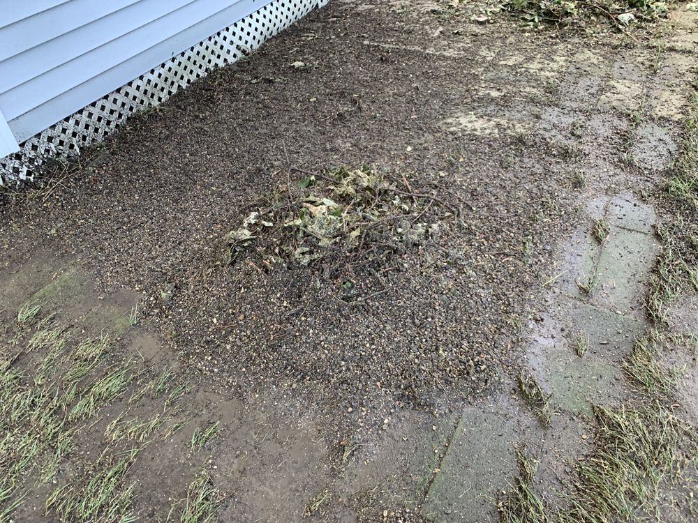 WHITE BIRCH NURSERY Updated July 2024 12 Reviews 6923 Main St