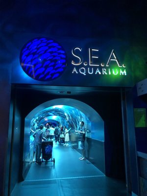 Singapore Oceanarium by null