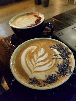 The Forum Coffee House by null