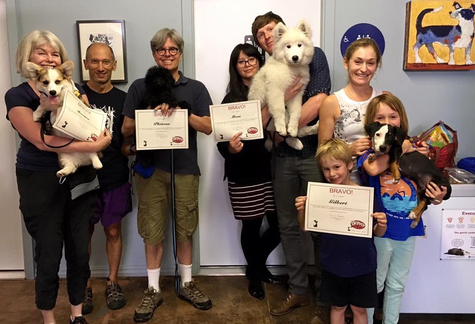 BRAVOPUP PUPPY AND DOG TRAINING 33 Photos & 68 Reviews Pet Training