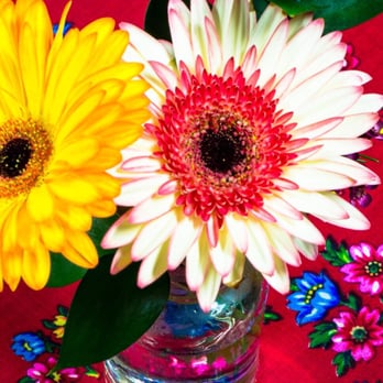 Market Blooms - Awesome Daisies - Florists Near Me - Columbus, Ohio Market Blooms - Awesome Daisies - Florists Near Me - Columbus, Ohio