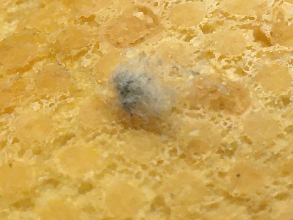 Food from Jimmy John's