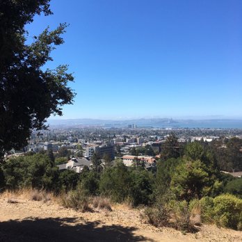 The Big C - Almost there! - Local Flavor Near Me - Berkeley, California