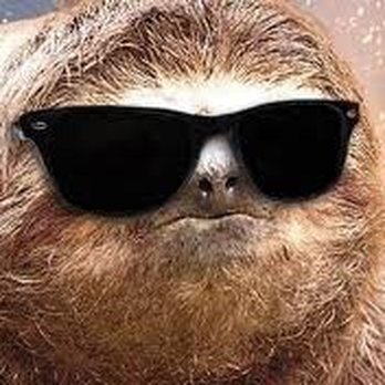 B&B Auto Service - The Sloth - Auto Repair Near Me - Sag Harbor, New York B&B Auto Service - The Sloth - Auto Repair Near Me - Sag Harbor, New York