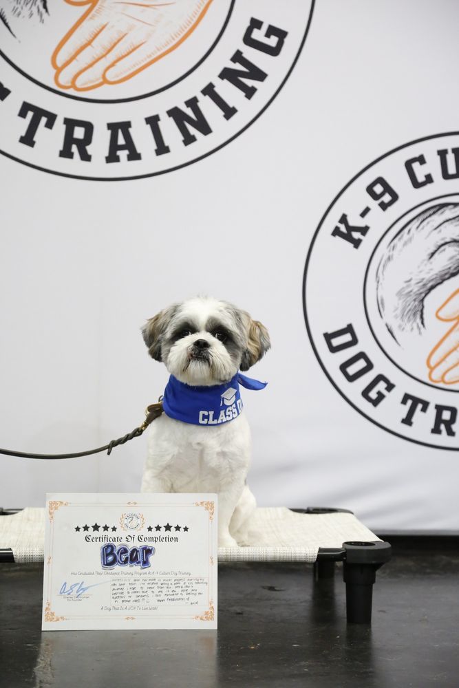 K9 Culture Dog Training