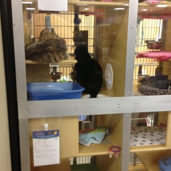 PetSmart - Pet Groomers Near Me - Scottsdale, Arizona PetSmart - Pet Groomers Near Me - Scottsdale, Arizona