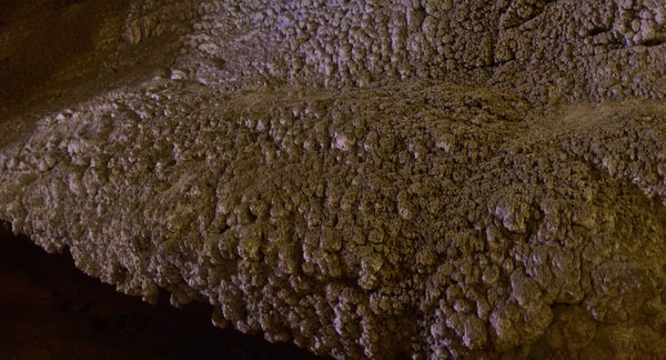 Boyden Cavern Adventures & Tours LLC. by null