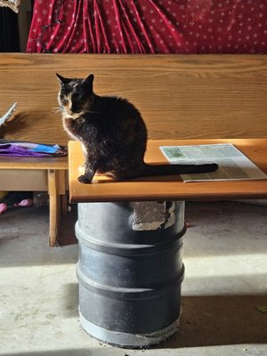 Wandering Star Craft Brewery by null