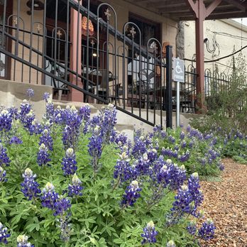 Juice Mammas - Blue bonnets right outside - Juice Bars & Smoothies Near Me - Llano, Texas