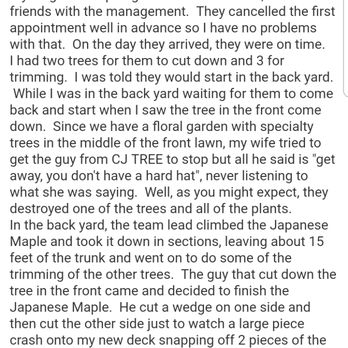 CJ Tree Service - Reviews that are hidden but accurate - Tree Services Near Me - Lincoln, Rhode Island