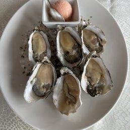 Oysters