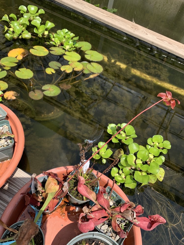 PAXSON HILL FARMS Updated October 2024 55 Photos & 14 Reviews